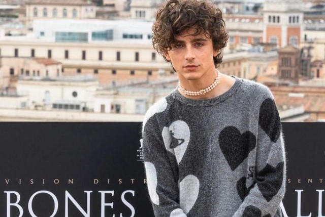 La red carpet de Bones and All fue suspendida por los fans de Timothée Chalamet